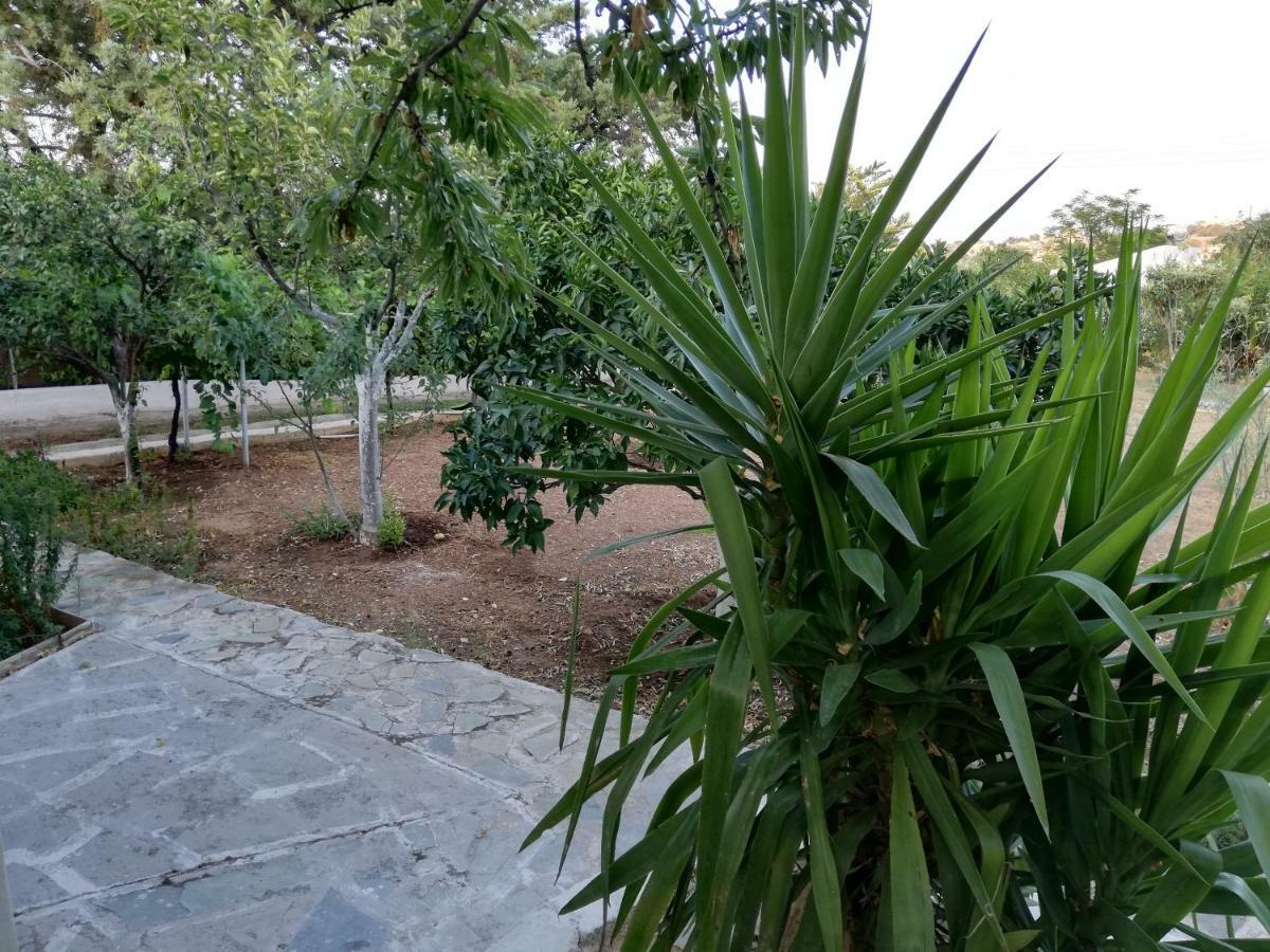 Dreamhome -10Min From Airport- Ártemida Kültér fotó